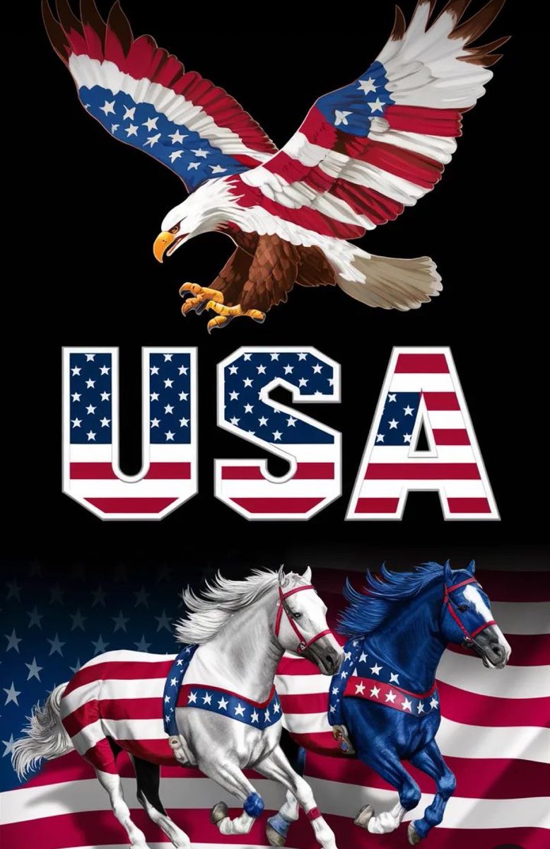 My country 🇺🇸MY PRIDE 🌞