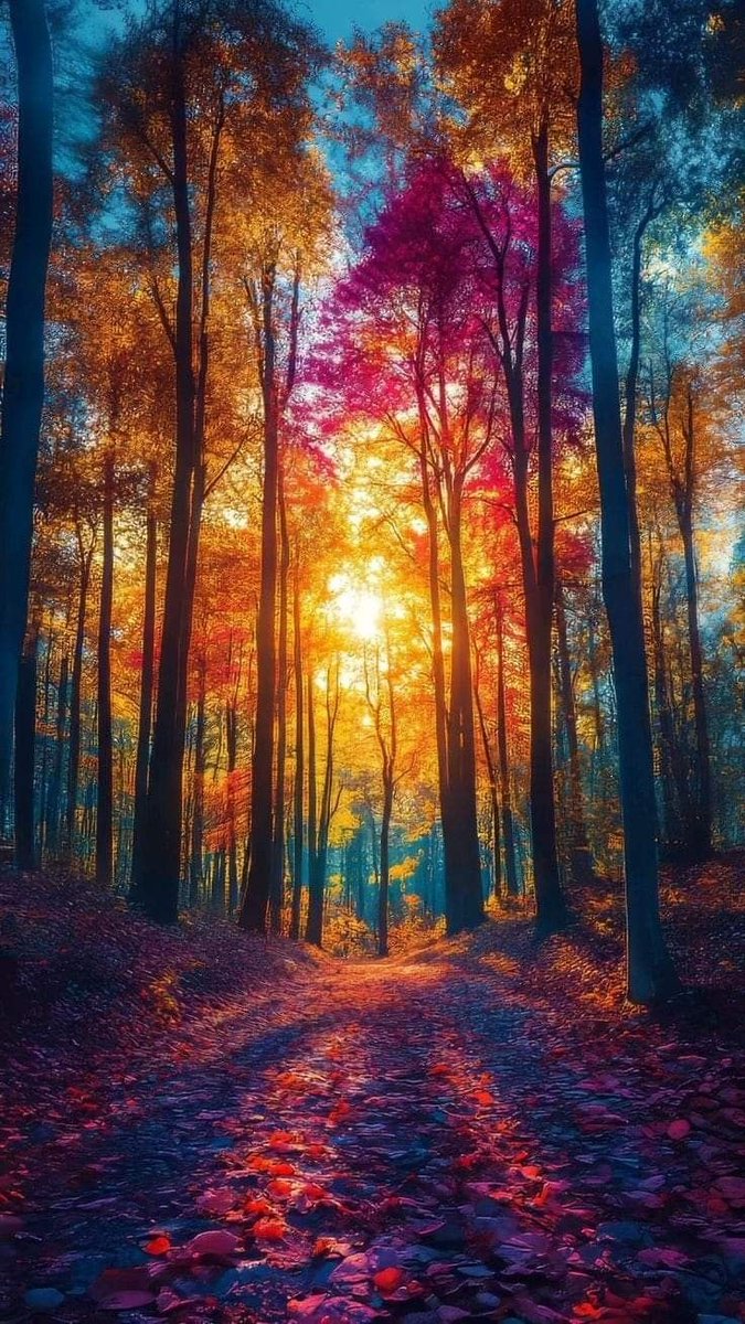 saira ali💚💦🌹🌹💗💓❤️🌷🌹⚘️🥀🌺🍁🌷🌼🌻🌸🌸♥️❤️ (@sairaalimm) on Twitter photo 