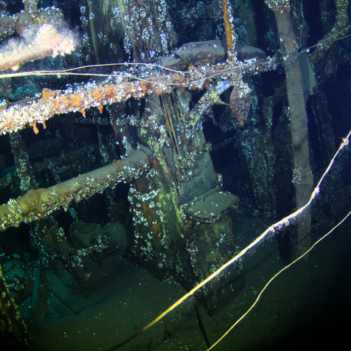 Diversinc's tweet image. Imagine uncovering secrets from the past as you swim through majestic shipwrecks. 

Join our community of passionate divers and make unforgettable memories! 🌊🤿 

#ShipwreckDiving #ScubaAdventure #DiscoverTheDepths