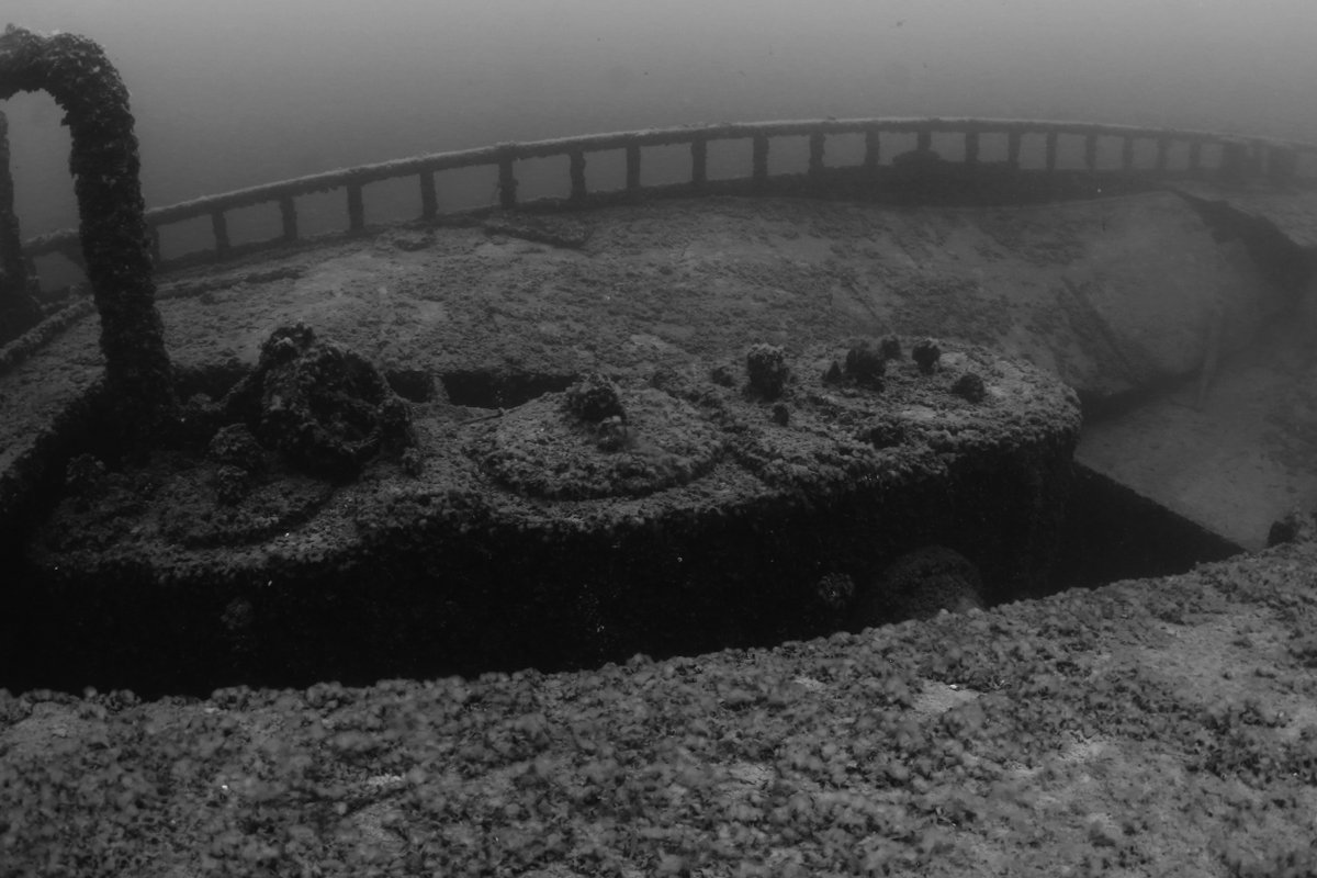 Diversinc's tweet image. Imagine uncovering secrets from the past as you swim through majestic shipwrecks. 

Join our community of passionate divers and make unforgettable memories! 🌊🤿 

#ShipwreckDiving #ScubaAdventure #DiscoverTheDepths