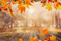 From the 1st of October we are giving  researchers and clinicians a chance to tell us about their work, using a  1 min reel. Keep an eye on your email. Do not miss this chance for the world to know about you!!
Follow us @scienceworldlife