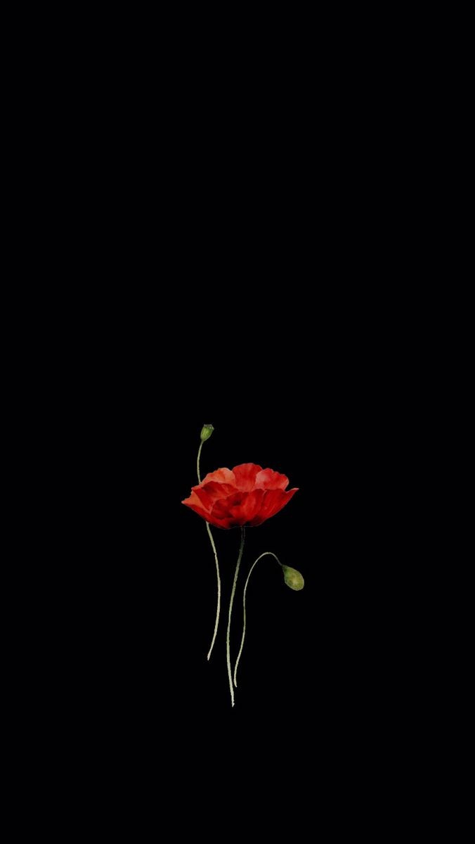 Paradoxical_Sr's tweet image. "অল্প কথায় অনেক কিছু বলা যায়—হয়তো এটাই টুইটের সৌন্দর্য। আজকের দিনটা কেমন কাটল আপনার? 🌸 #LifeUpdates #StayPositive"