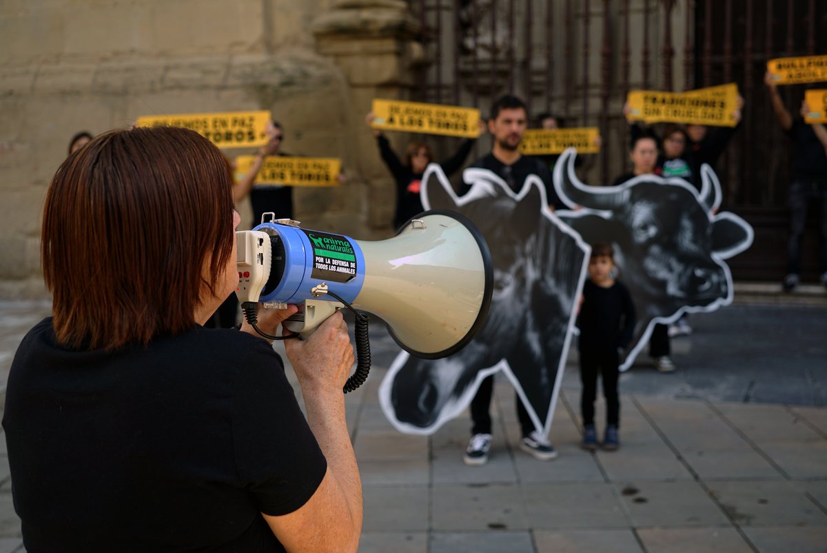 AnimaNaturalis's tweet photo. 🇪🇸🐃 Hoy, en Logroño, torturarán hasta la muerte a 6 toros por entretenimiento, en nombre de las fiestas de #SanMateo.

📸 El pasado domingo nos unimos para protestar contra esta barbarie y para exigir: basta de sangre, tortura y muerte de animales.

#TauromaquiaAbolición ✊️ https://t.co/nF2A8kpOMp
