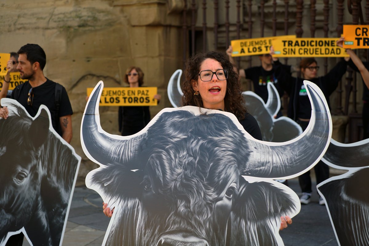 AnimaNaturalis's tweet photo. 🇪🇸🐃 Hoy, en Logroño, torturarán hasta la muerte a 6 toros por entretenimiento, en nombre de las fiestas de #SanMateo.

📸 El pasado domingo nos unimos para protestar contra esta barbarie y para exigir: basta de sangre, tortura y muerte de animales.

#TauromaquiaAbolición ✊️ https://t.co/nF2A8kpOMp
