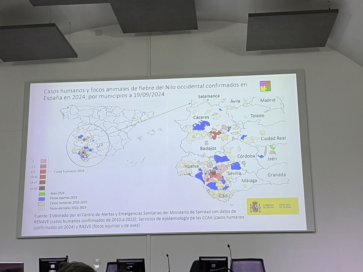 M_Ferraguti's tweet photo. @Virusemergentes nos ofrece una clase magistral sobre las arbovirosis zoonóticas emergentes en España, abordadas desde el enfoque integral de #OneHealth.

#WNV #Usutu #Bagaza #ymuchosmasviruses!! https://t.co/Q0MSffC5KX