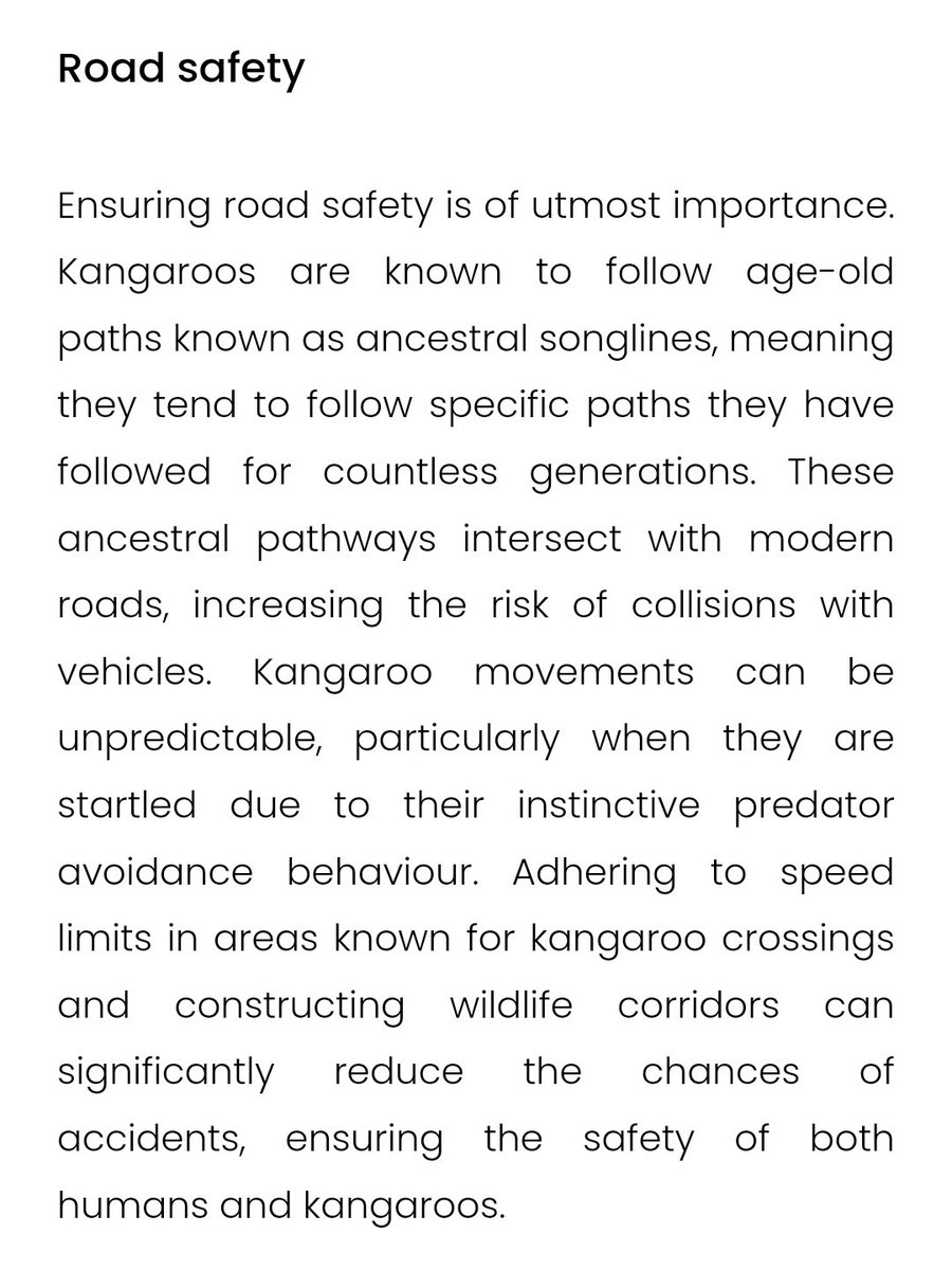 LauraHillsLamb's tweet photo. Animal activists believe some weird stuff. 
Apparently, kangaroos use songlines and if you stick to the speed limit,  everything will be okay. 

#kangaroo #conservations #expertsnotactivists https://t.co/MAMxyN3T8R