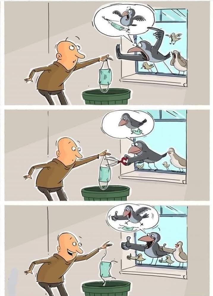Aprendamos a desechar los tapabocas para no afectar a los animales. 😷😌
