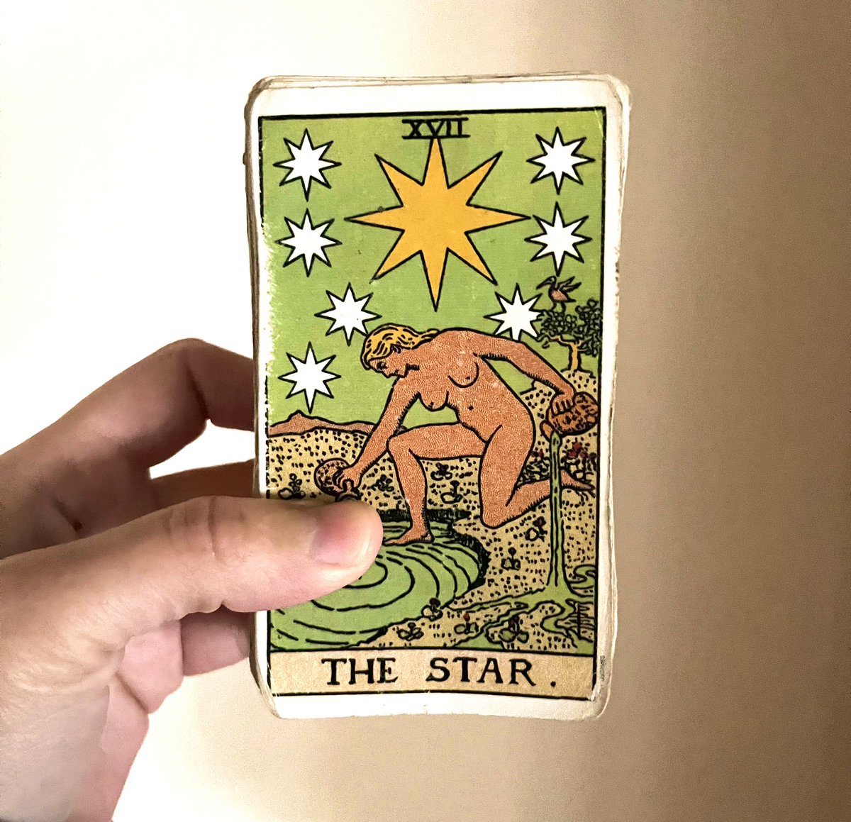GuidanceAbove's tweet photo. 📩 ♡ Message Of The Day - 111 - “This Goddess kneels before you as she grants you one wish that will help you to evolve bc you’re coming out of a dark period. See this energy as your metamorphosis &amp; set an intention today &amp; watch how the universe conspires to make it happen!” https://t.co/a0nSo8hI9j