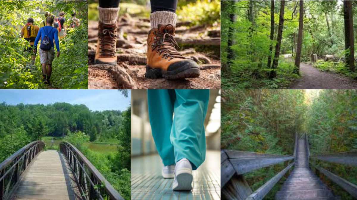 Welcome the Durham Step Out for Nursing Team!  Join them on Saturday, October 19 from 11 am to 3 pm at Heber Down Conservation Area or donate to help them reach their goal. rnfoo-stepout-cv-887.causevox.com/p/taz-fattah