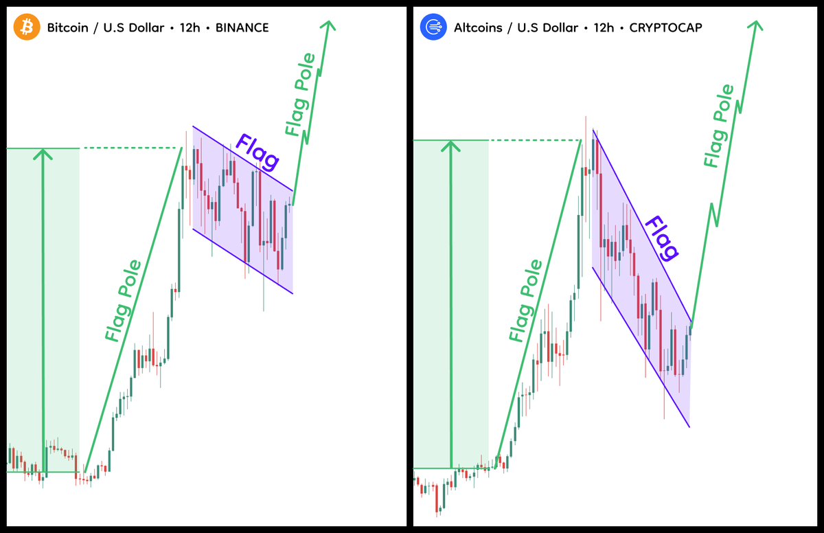 0xchromium's tweet photo. The biggest Bull Run will be in October 2024, be ready!

Historically at this time $BTC has the greatest growth potential

It's your chance to make 7 figures on this cycle

I've spent 36h and found 8 alts poised for 20x-150x gains🧵👇 https://t.co/6t80SJnLBx