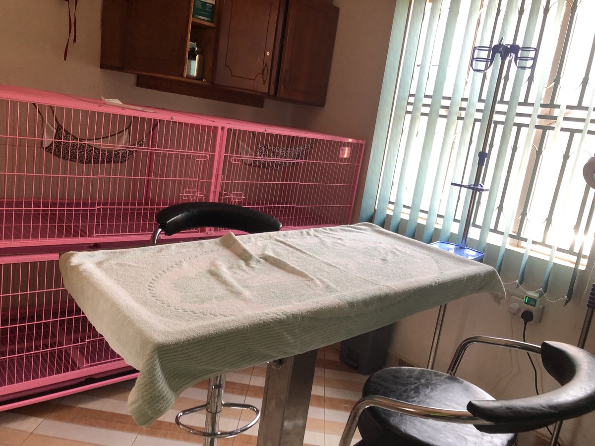 Our operating room at happy pets 🐾