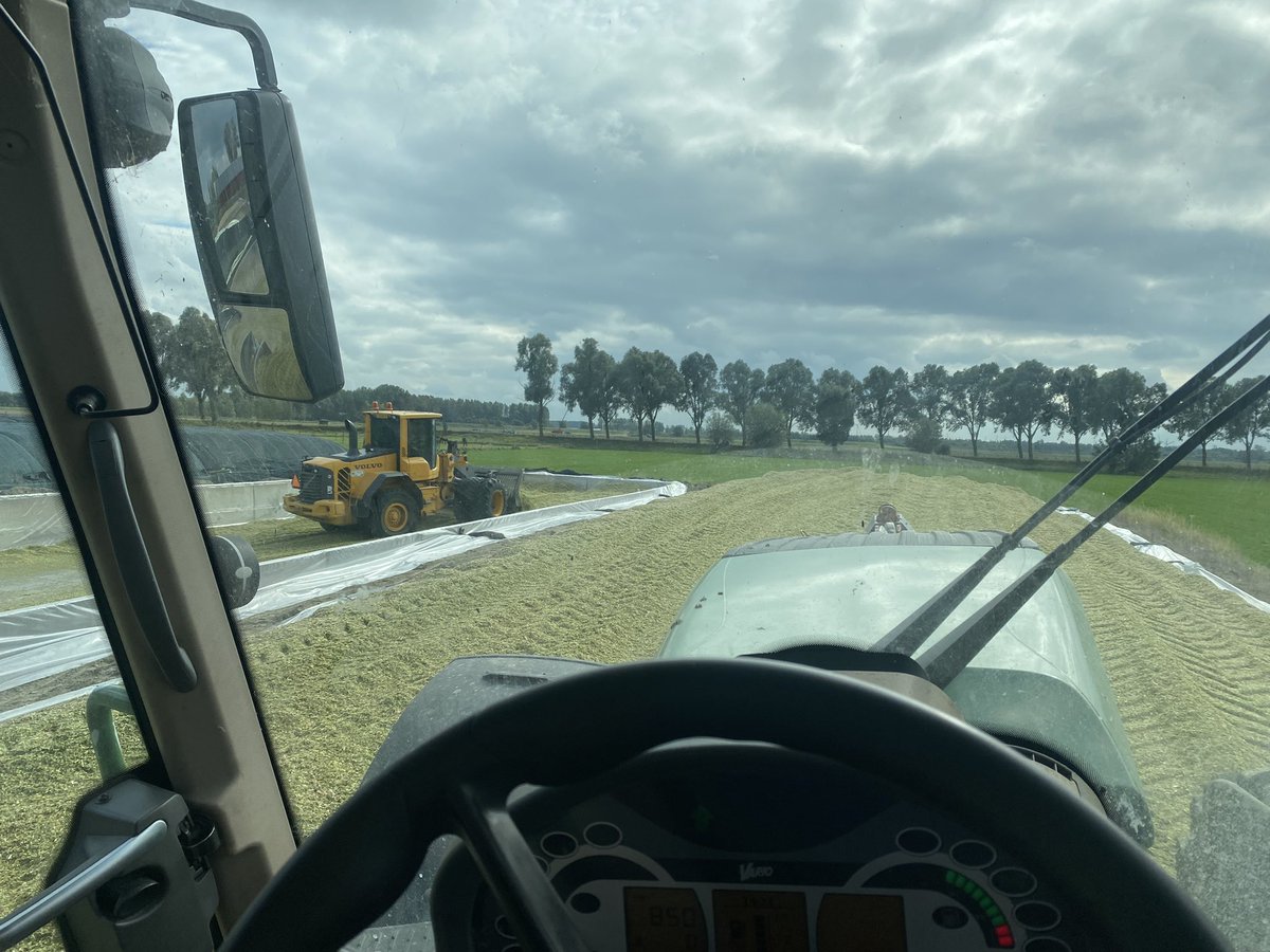 Sander vijverberg tweet media