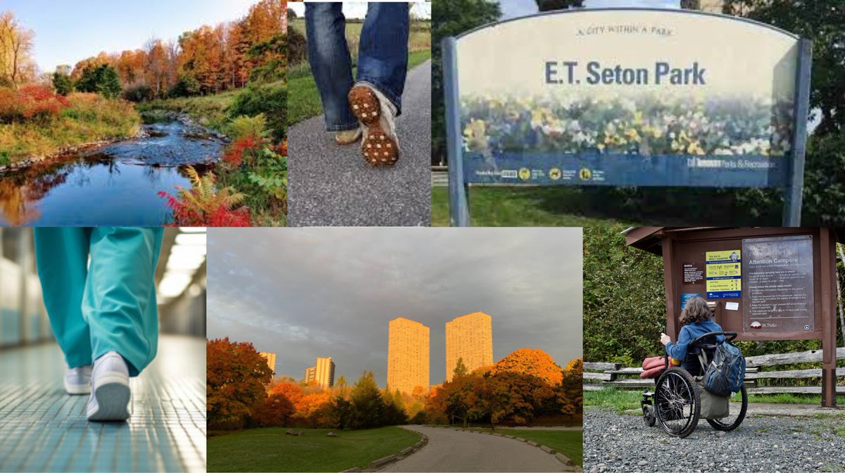 Welcome the Toronto Team!  Join them at E.T. Seton Park on October 19 from 9 am to 2 pm or donate to help them reach their goal. rnfoo-stepout-cv-887.causevox.com/p/marg-blastor…