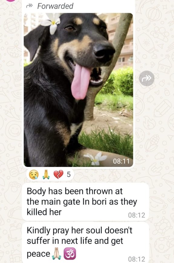 Kritika Kapoor tweet media