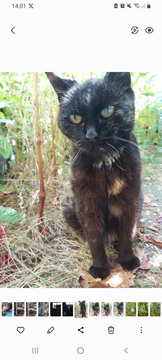 Ann Mackl tweet media