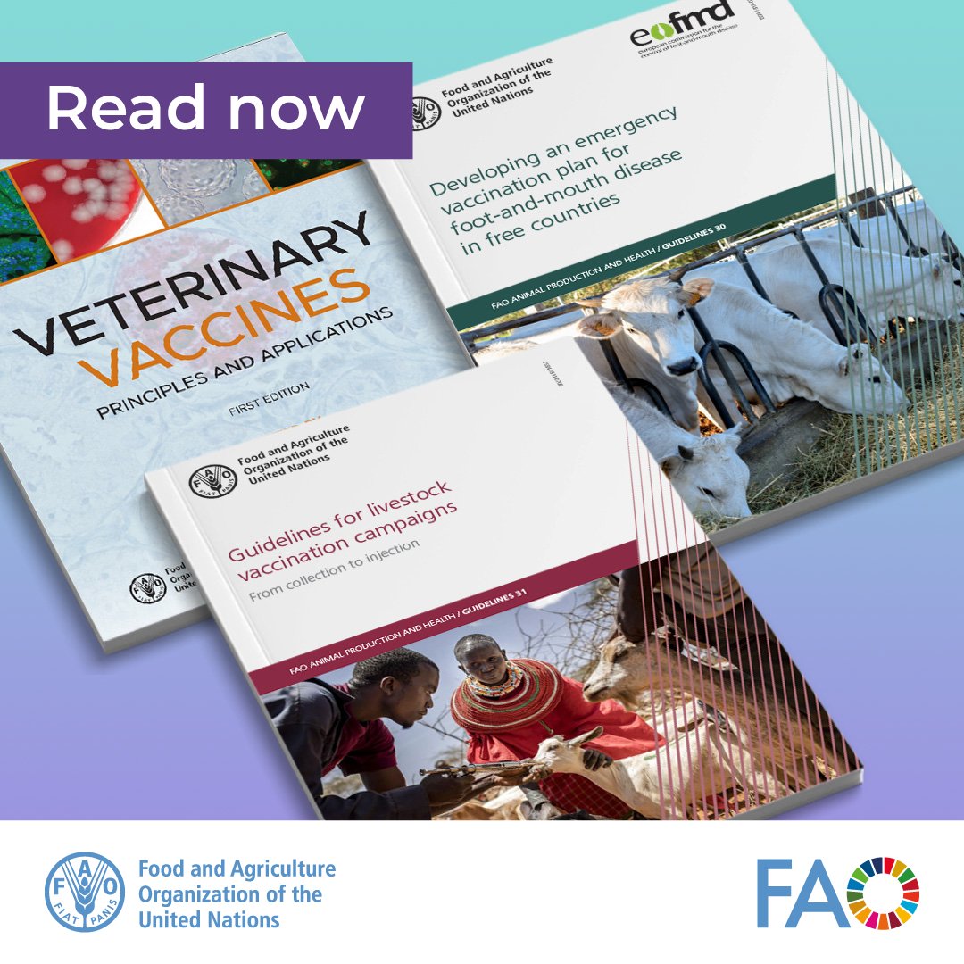 FAO Livestock tweet media