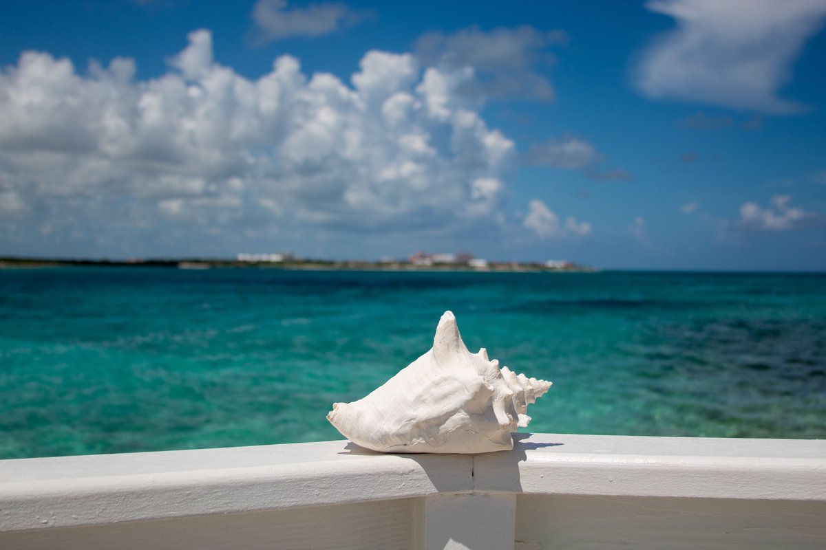 AnchorageExuma's tweet photo. Create lasting memories in #Georgetown with #AnchorageExuma! Enjoy #FamilyVacation rentals, stunning ocean views, & access to beautiful beaches. #BookYourStay today at https://t.co/JaWrcrNpHr
#BeachfrontRentals #ExploreExuma #IslandEscape #TropicalAdventure #FamilyFun https://t.co/5dAorXoyKU
