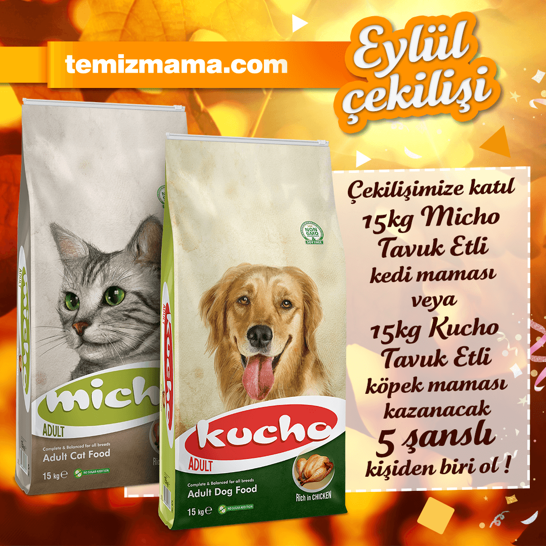 🥳 Temizmama Eylül çekilişi başladı! 🥳

👉 <a href="/temizmamacom/">Temizmama</a> hesabımızı takip et. ✔️⁠
👉 Gönderimizi beğen ve repostla. ❤️⁠
👉 Bir arkadaşını yoruma etiketle. 💬⁠

5 takipçimize: 😻 15KG Micho #KediMaması veya 🐶 15KG Kucho #KöpekMaması #Hediye! 🐾

Sonuçlar 2 Ekim!🤩