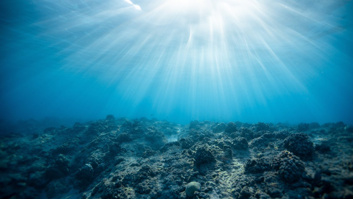 Global scale sequencing of marine samples revealed a novel #CRISPRCas9 system.
 
Learn more at <a href="/Nature/">nature</a>: shorturl.at/hrymX