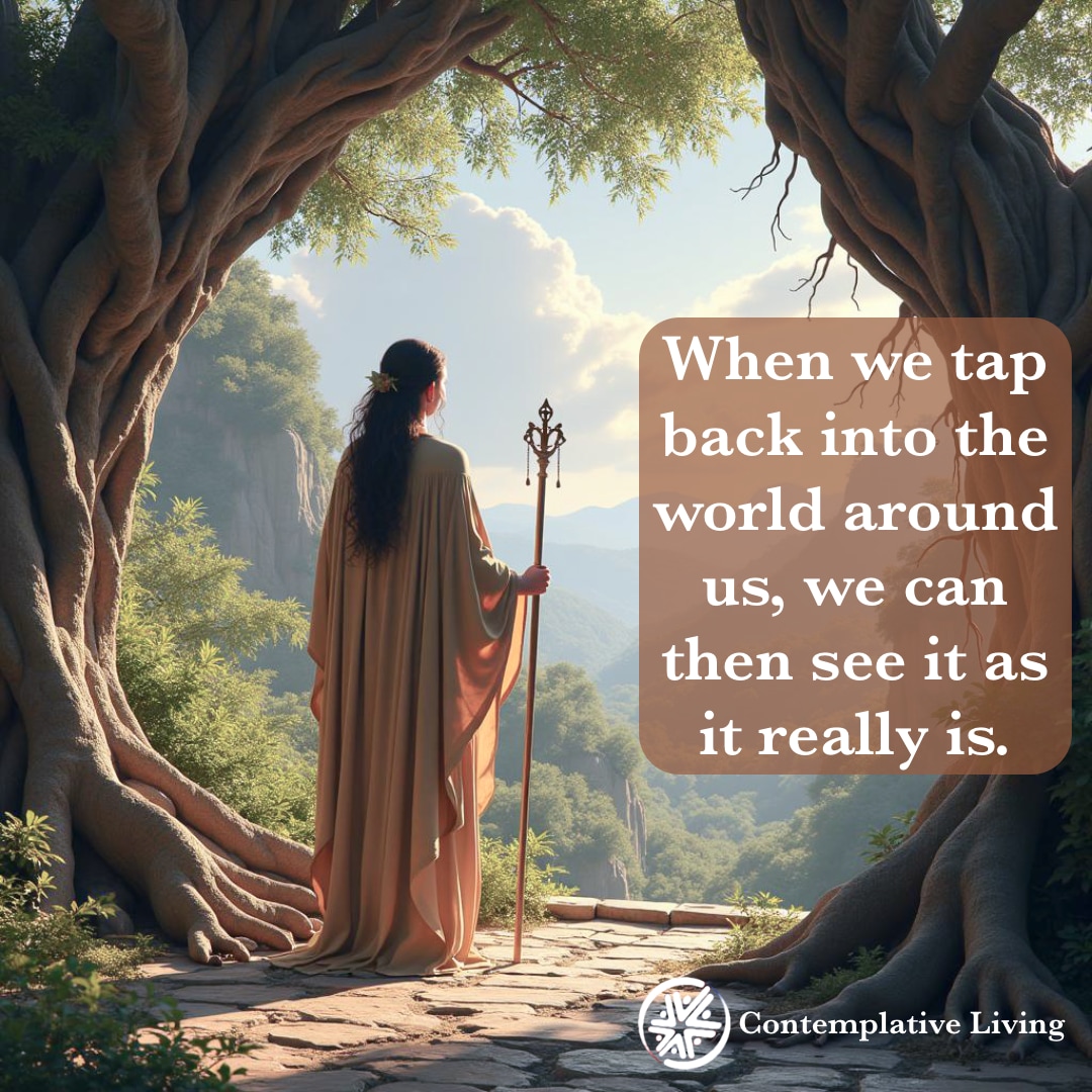 DharmaTalks's tweet photo. When we tap back into the world around us, we can then see it as it really is. ♾️
#UntappedPotential #awareness #contemplativeliving https://t.co/uIq2ejYNwX