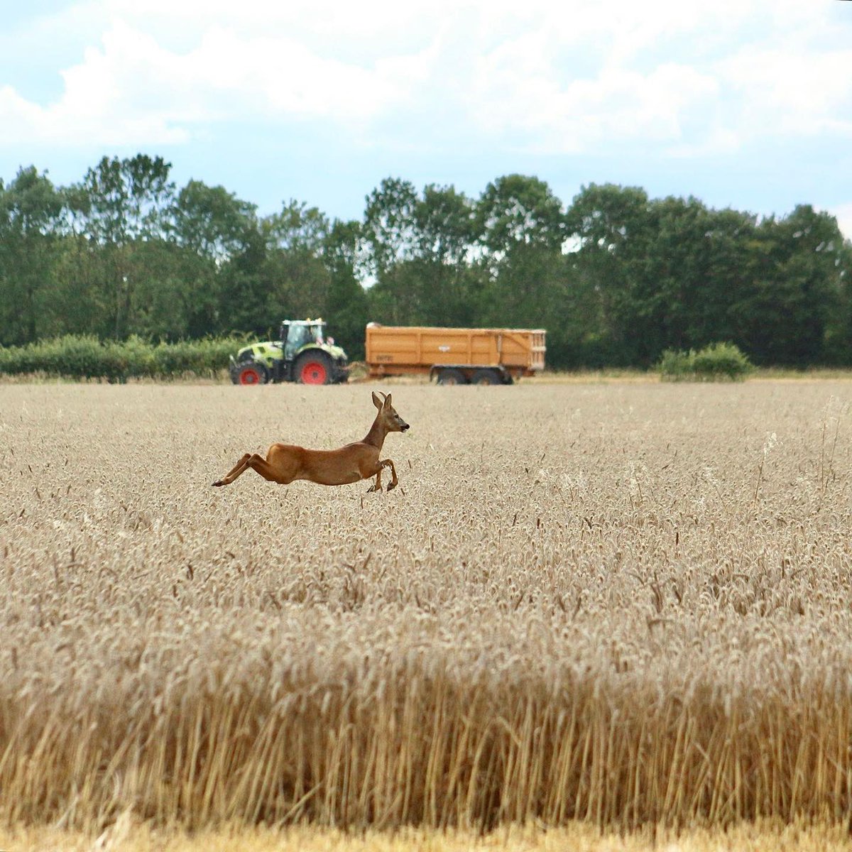 Farmers Weekly tweet media