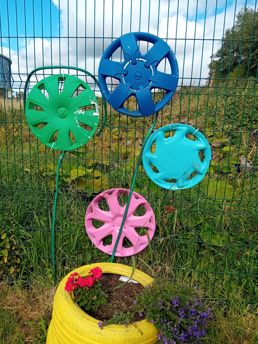 MsMaher9's tweet photo. @CoolmineCS TY Horticulture Students visiting Trims Community Sensory Garden. Getting inspiration for our school sensory garden. @accsirl @Fingalcoco https://t.co/TXAc5HhEts