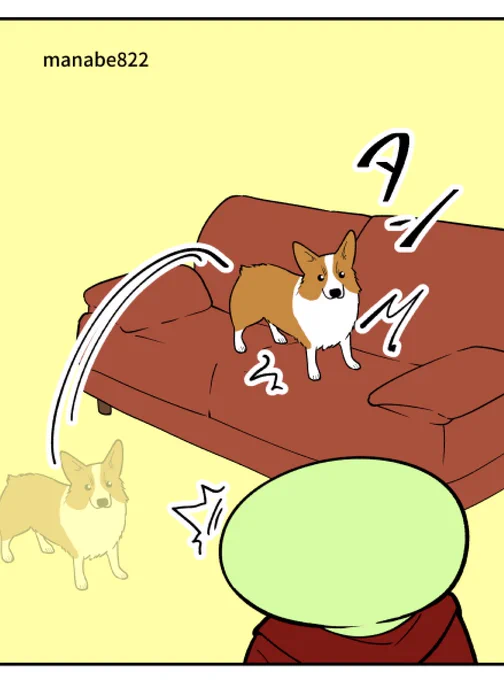 ソファに飛び乗るコーギーに対策する 1/3 
