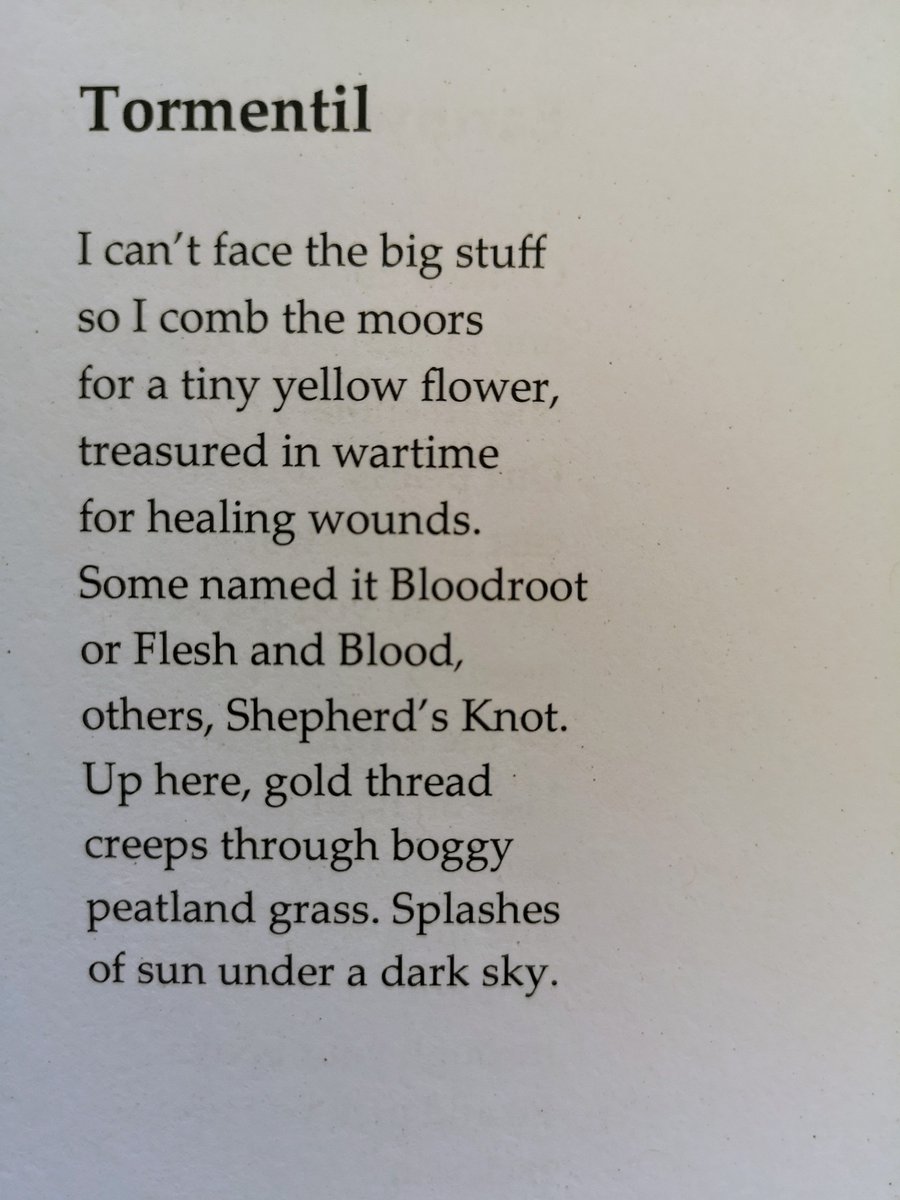 Thrilled that Tormentil by <a href="/IanHumphWriter/">Ian Humphreys</a> has been longlisted for <a href="/laurelprize/">The Laurel Prize</a> 
Have you read it yet? 
‘A golden thread runs through this book, joining grief to happiness, the small to the vast, the ground to the sky' -   Zaffar Kunial
ninearchespress.com/publications/p…