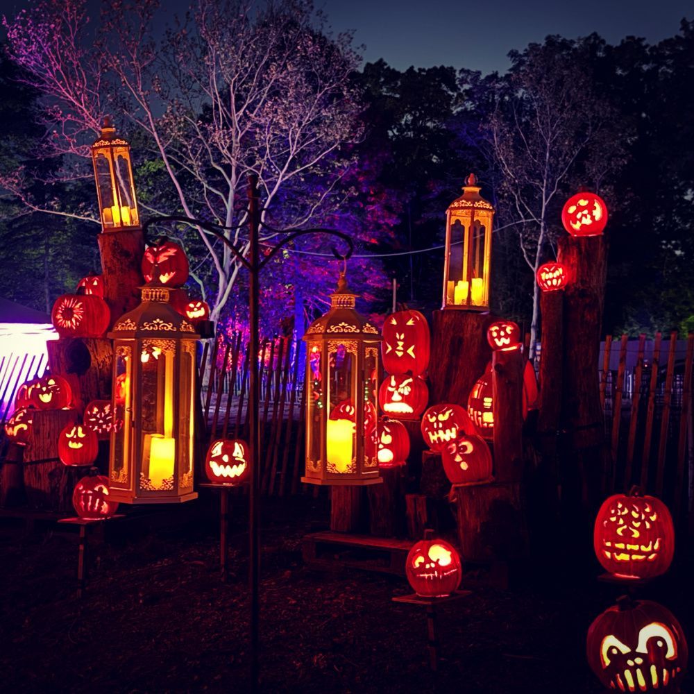 Boston Central tweet media