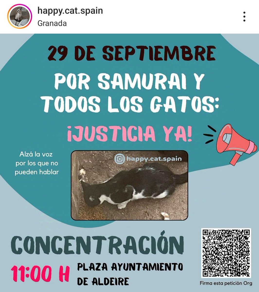sois_que's tweet photo. @MsInefable Se va a realizar una concentración el día 29 en la Plaza del Ayuntamiento  ¿Lo puedes compartir? Gracias 🐱 https://t.co/JAnlggPt09