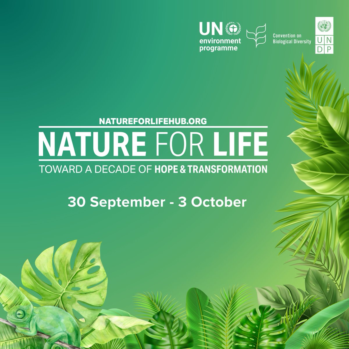 Youth4Nature tweet media