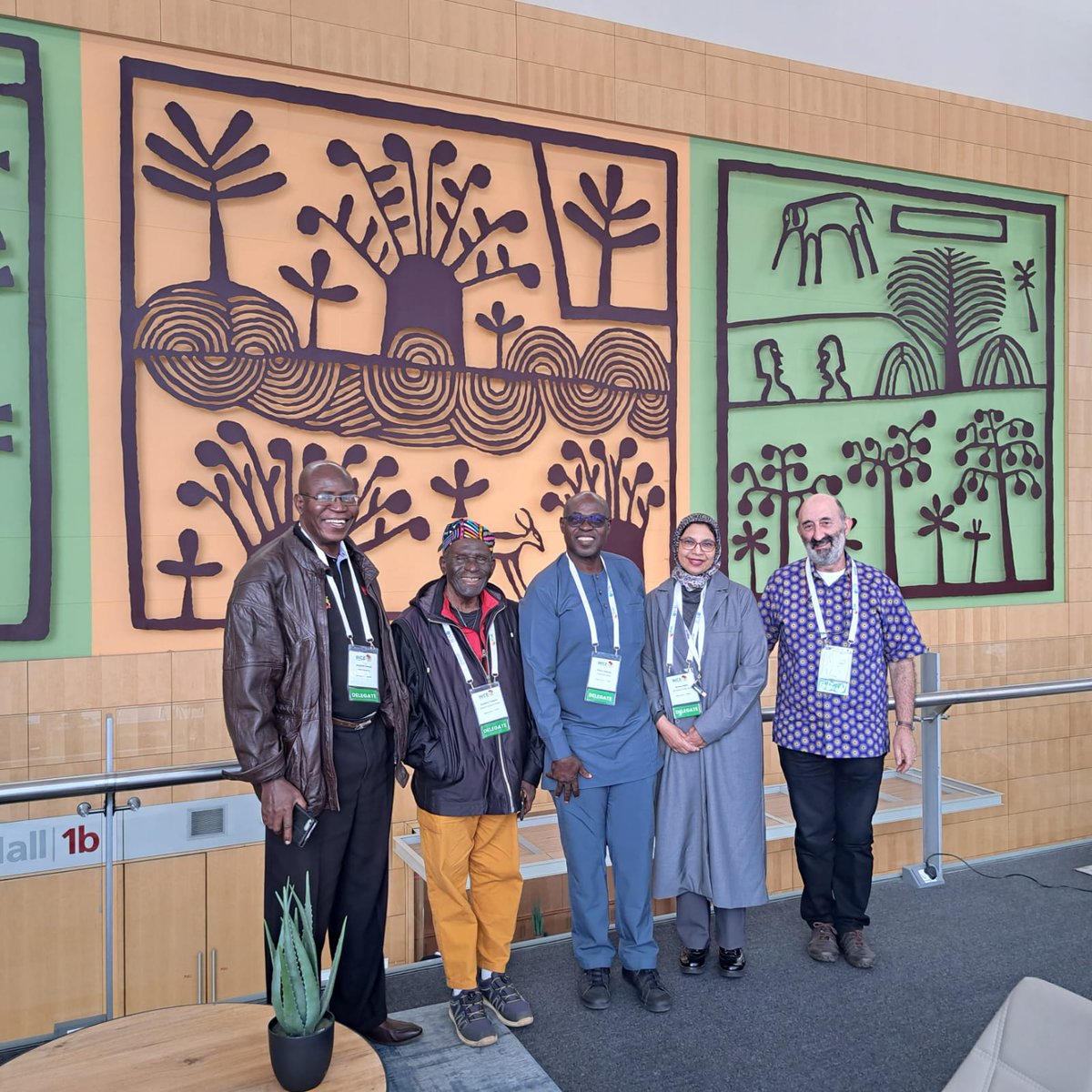 UCT Division of Public Health Medicine tweet media