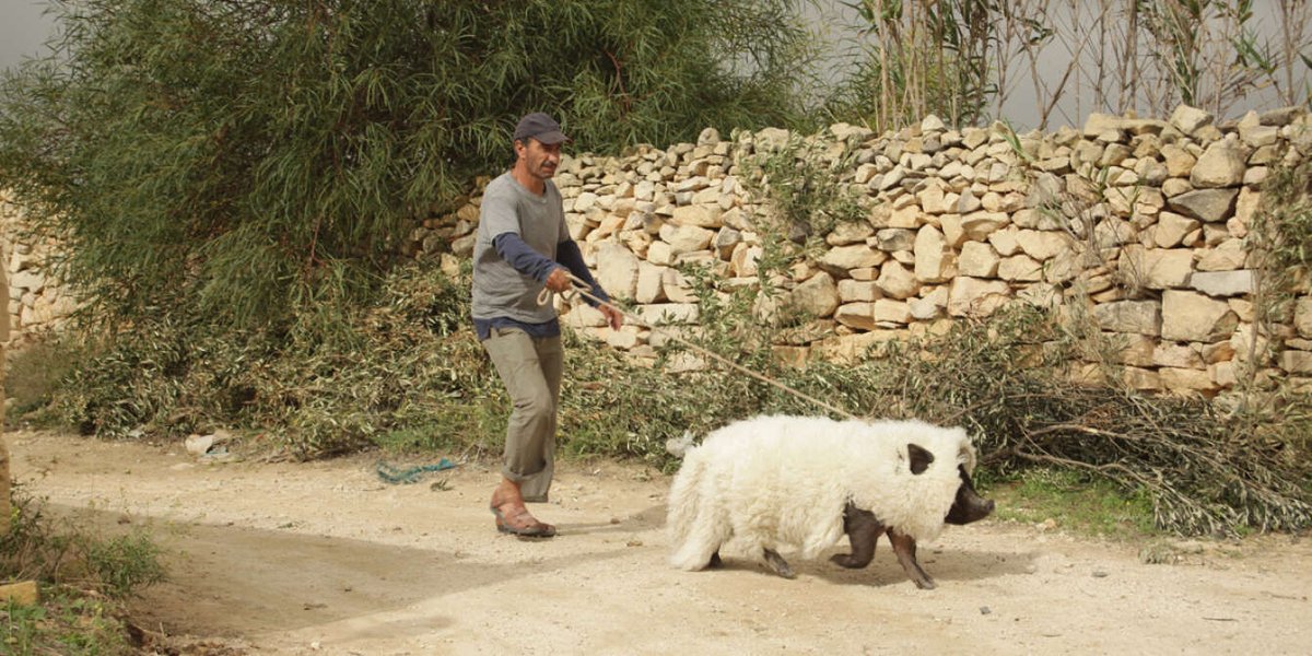 Paris 14 Territoire de cinéma (Paris 14 TC) tweet media