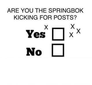 CD_Musgrave's tweet photo. @Springboks #Libbok https://t.co/pzCIKo7k2V