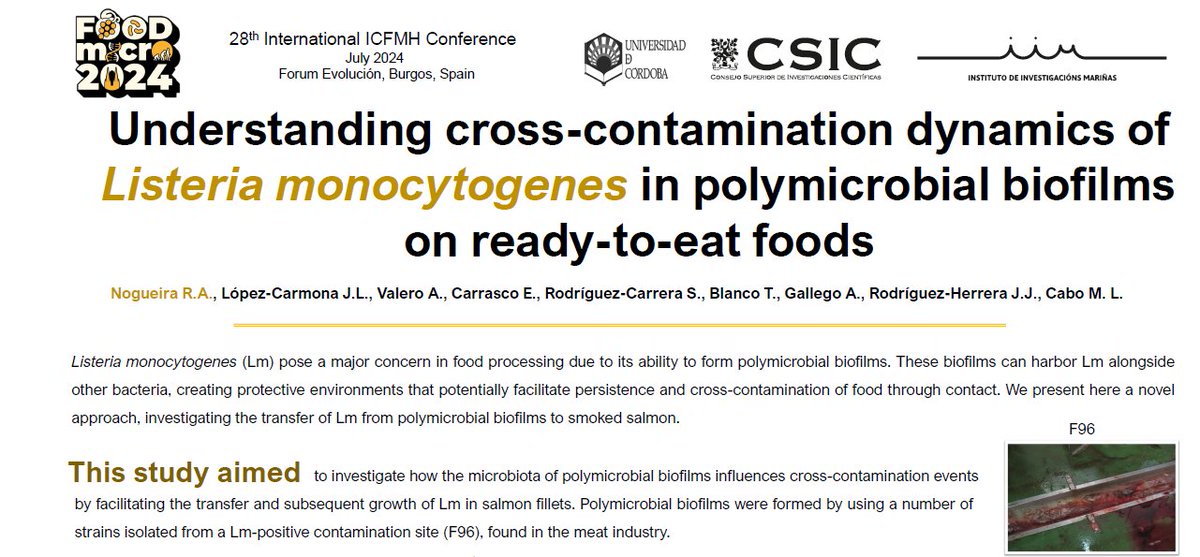 Raquel Nogueira tweet media