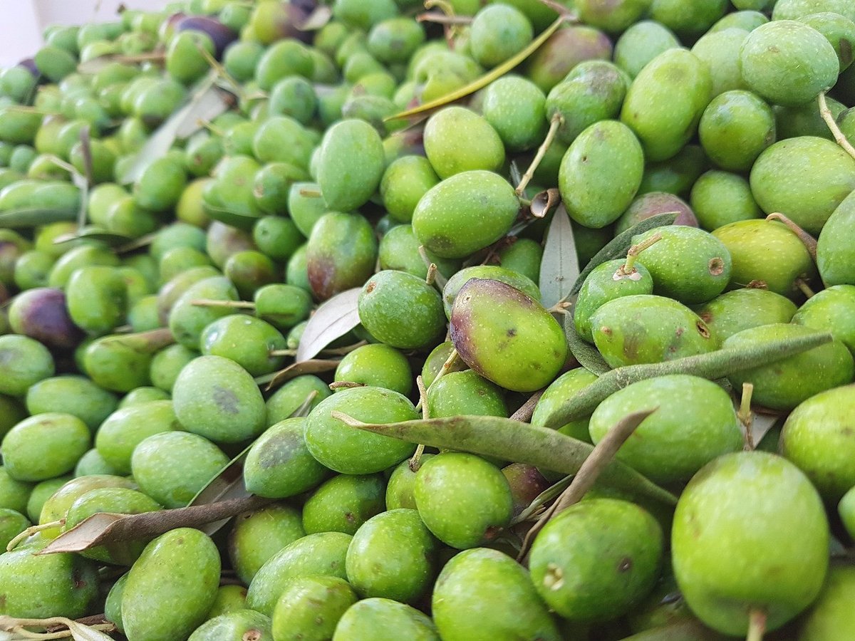Aceites Caldeolive tweet media