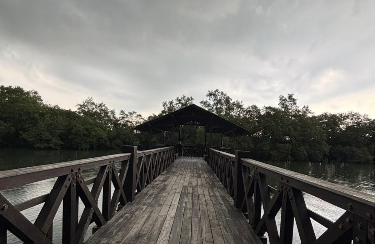 Joel John tweet media