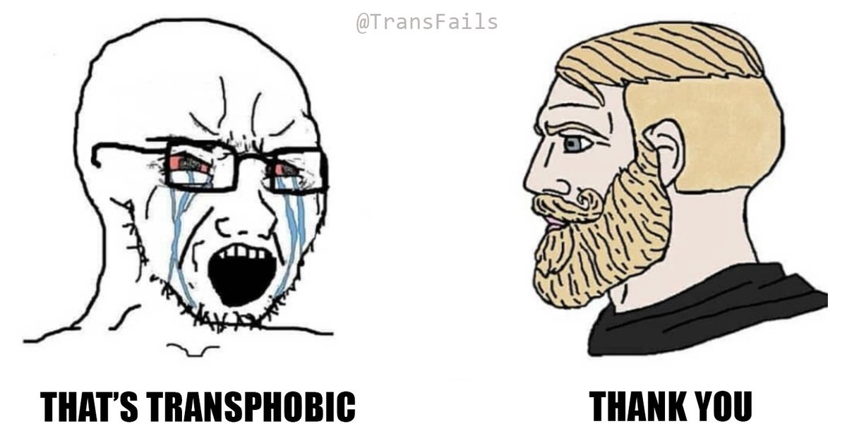 Trans Memes tweet media