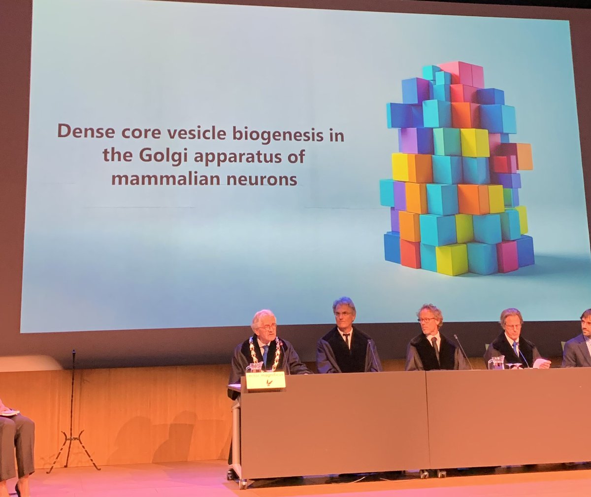 Congratulations to Nikki van Bommel for her great PhD defense of her thesis ‘Dense core vesicle biogenesis in the Golgi apparatus of Mammalian neurons’ 🎉🎉<a href="/GeneticAMS/">Humane Genetica Amsterdam UMC</a> <a href="/VUamsterdam/">Vrije Universiteit Amsterdam (inactief)</a> <a href="/amsterdamumc/">Amsterdam UMC</a>