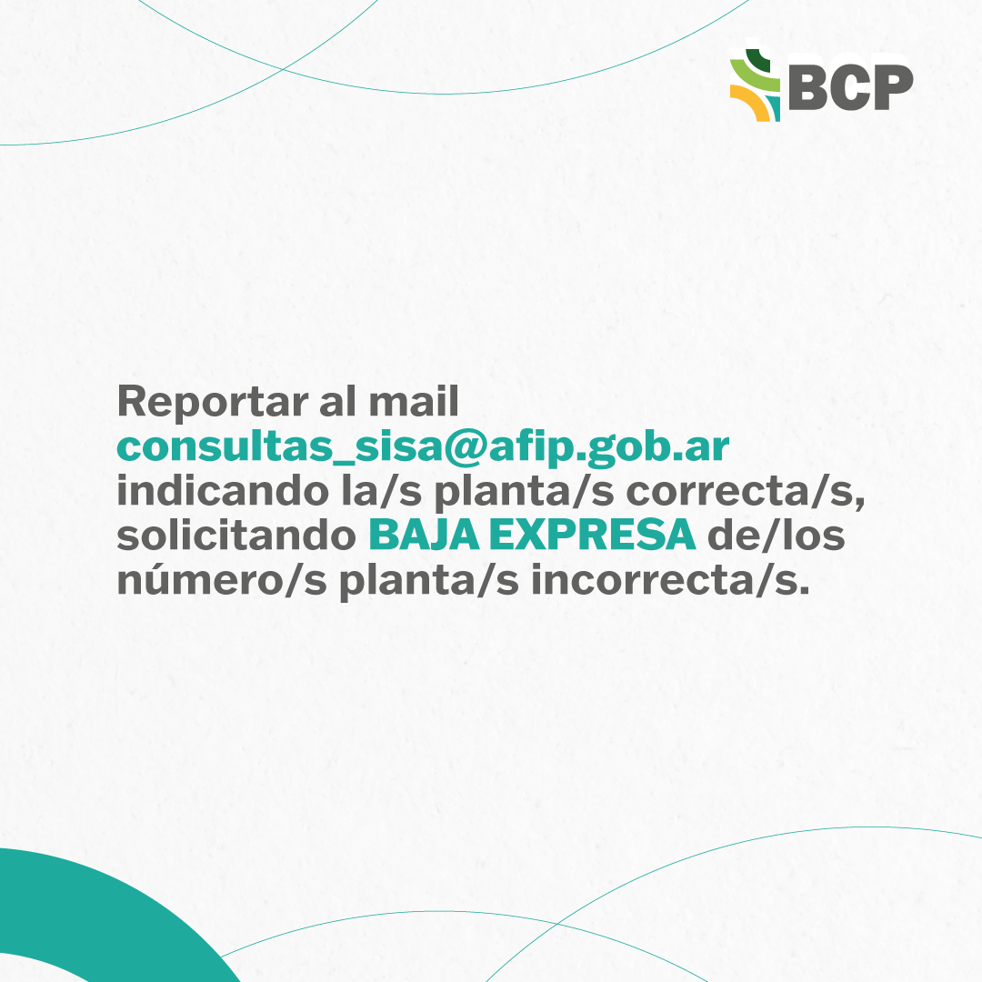 BCPbahia's tweet photo. 👉 Ampliación de la información para "Compradores de granos y/o derivados granarios para consumo propio".

#afip #campo #bcp https://t.co/LIcAaOtMad