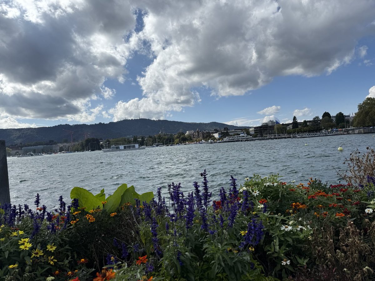 Chimgee Janjin (@cjanjin) on Twitter photo 