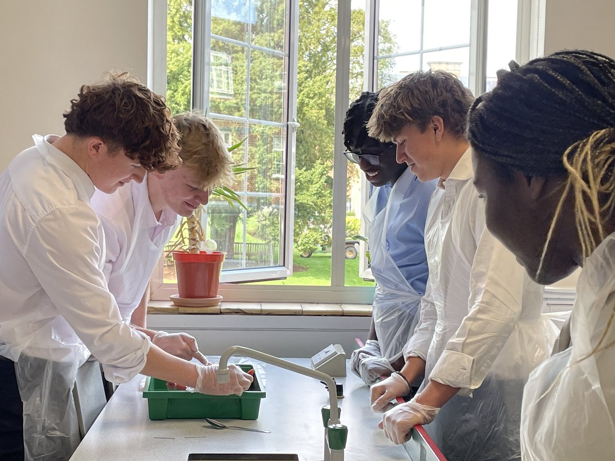 oratoryschool's tweet photo. U6th Form #Psychologists have been dissecting a pig’s brain today to help with their understanding of the brain’s shape and its functional areas. #OratoryCuriosity #OratoryPsychology #OratoryScience #OratoryAcademic @oratoryscience https://t.co/t8UfEfdc3x