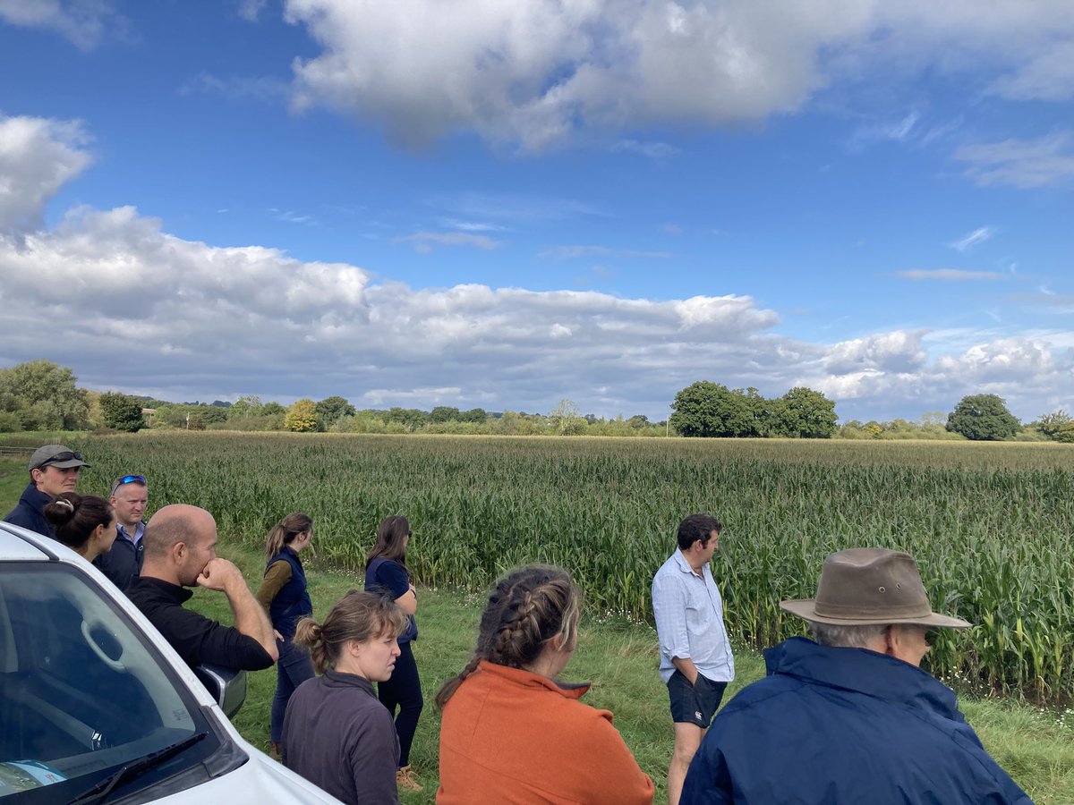 cereals_sw's tweet image. Glos maize breakfast meeting with @maizegrowers @niabgroup Lots of detailed discussion and as ever little a bit of merriment. Thanks all @TheAHDB