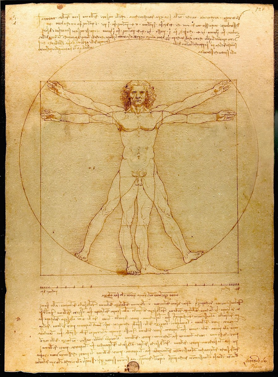 LdV_Society's tweet photo. Leonardo, Vitruvian Man, c. 1490, pen, brown ink and watercolour over metalpoint on paper, 34.4 cm × 24.5 cm. Gallerie dell'Accademia, Venice https://t.co/4cAAJxWfmZ