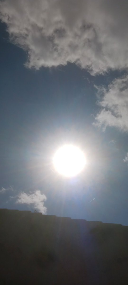 Estoy recargando vitamina D directamente desde el trabajo 👌🌞