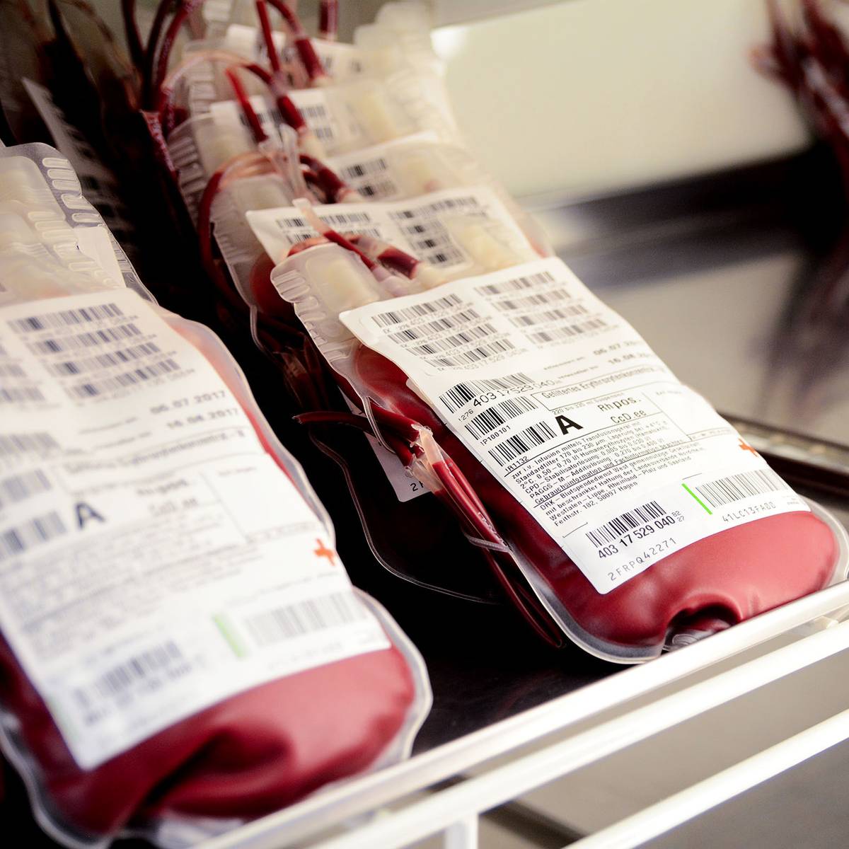 Deutsches Rotes Kreuz lädt ein zur Blutspende dlvr.it/TDcxRW