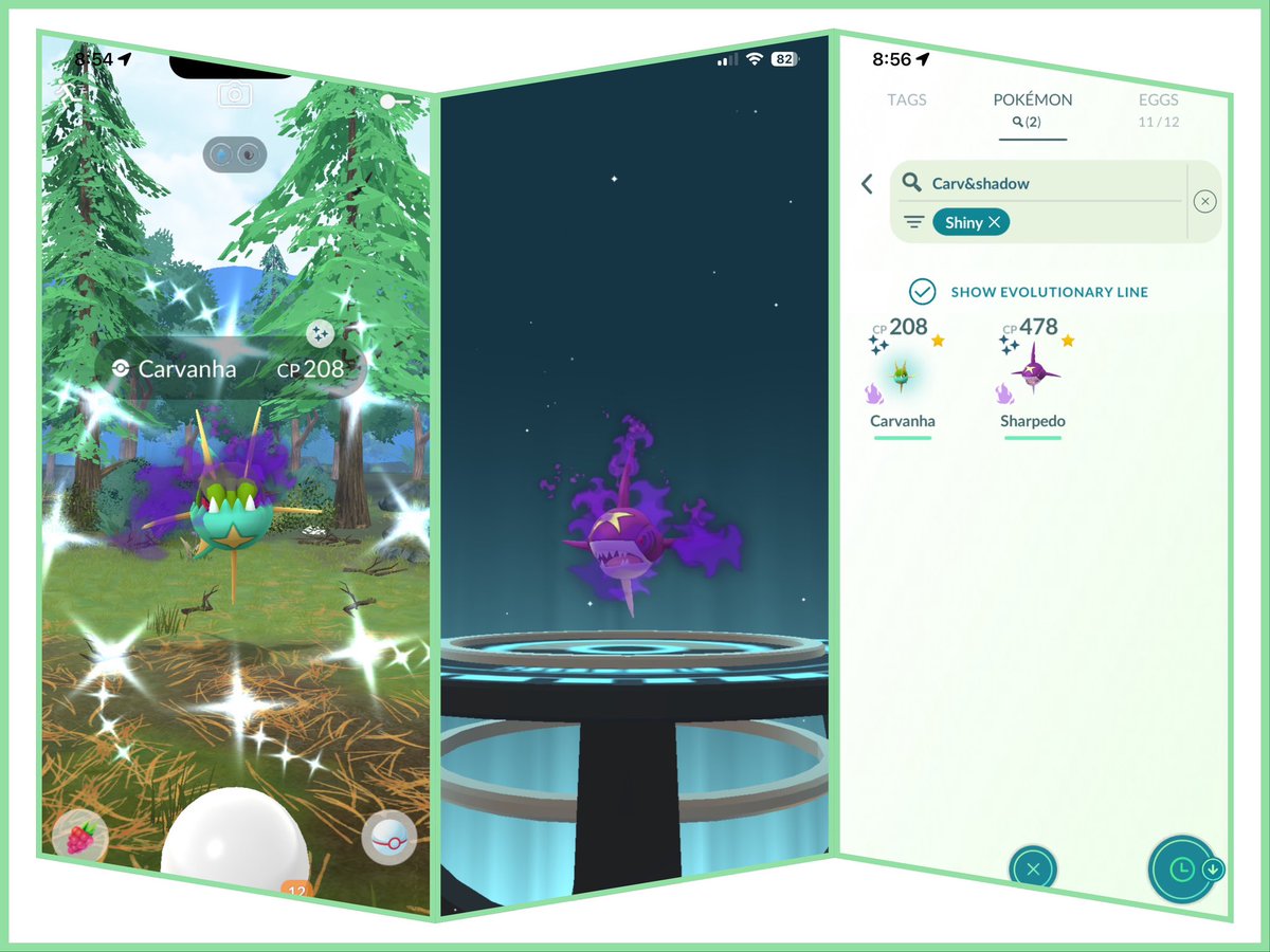 HermesNinja's tweet image. 💖✨💖 Family complete! 💖✨💖

Thanks, Sierra - that took forever! 😂

#PokemonGO #ShadowPokemon #ShinyPokemon #ShinyCheck