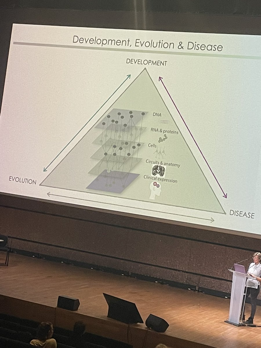 Dévina C. Ung tweet media