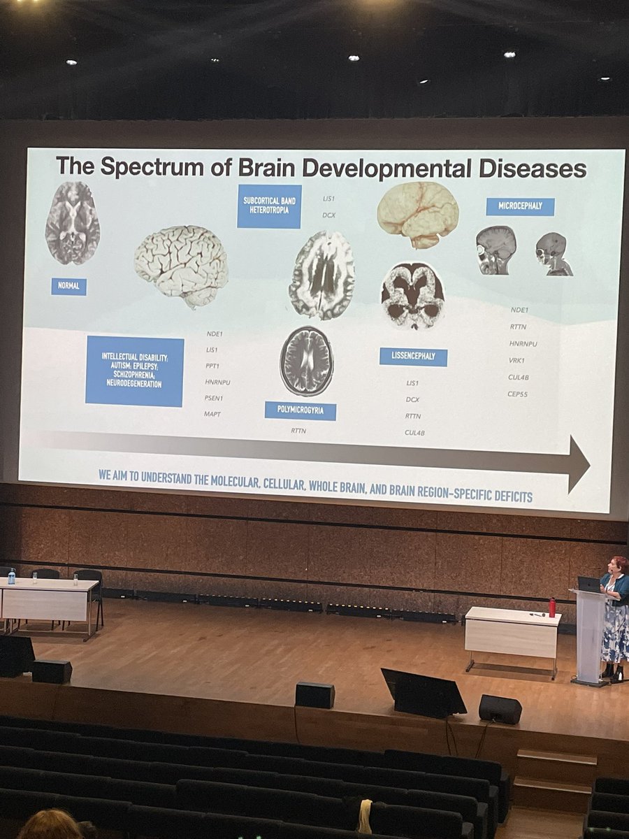 Dévina C. Ung tweet media