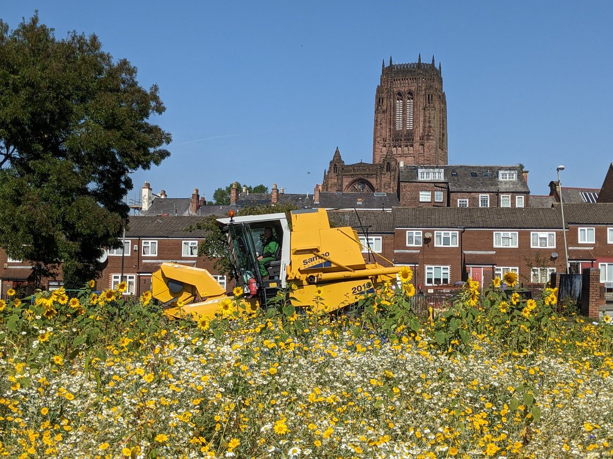 Wonderful summary of the year at Scouse flowerhouse AGM  this Thursday 26th  Sept. AGM at 2.30 pm. Treasure House Theatre. World Museum. Come and meet us. And join up.
